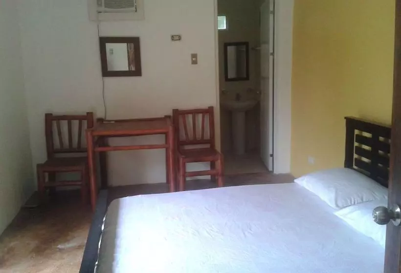 ホテル Panglao Palms Apartelle