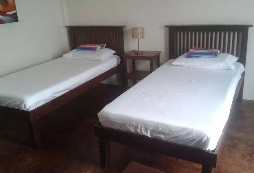 ホテル Panglao Palms Apartelle