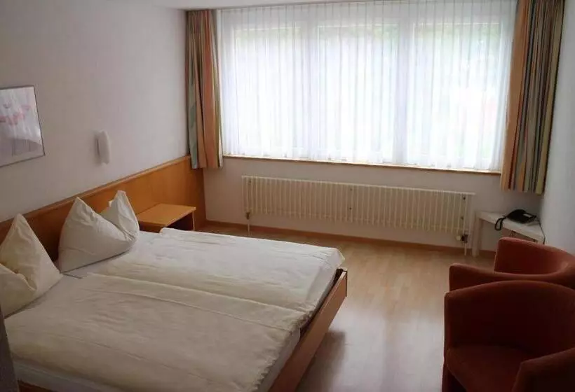 Отель Rebstock Meiringen