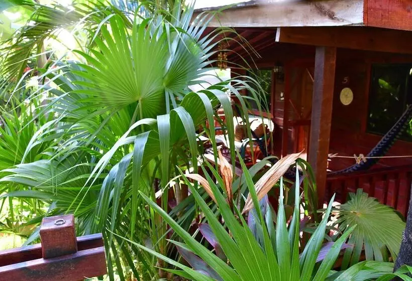 هتل West Bay Lodge