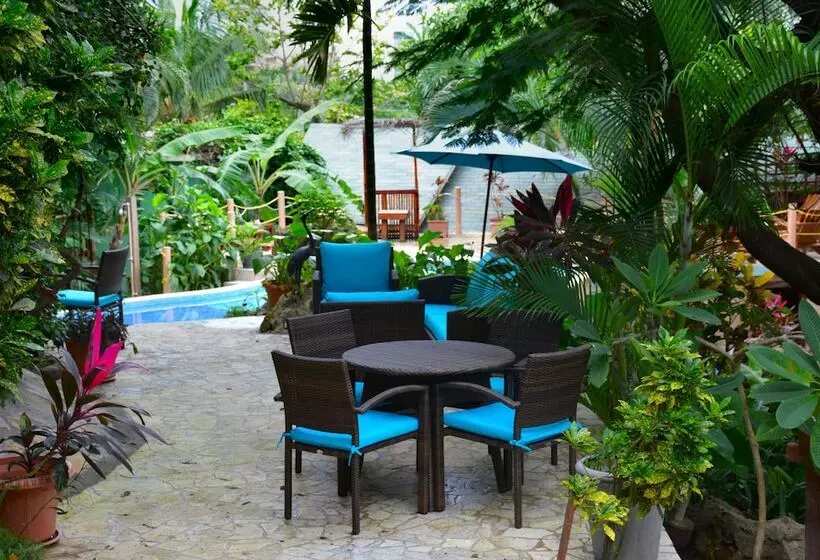 هتل West Bay Lodge