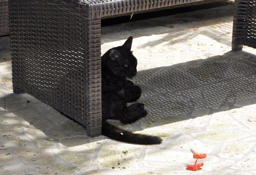 هتل West Bay Lodge