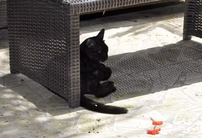 هتل West Bay Lodge