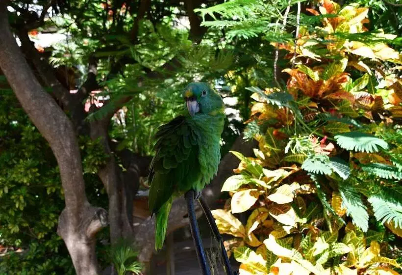 هتل West Bay Lodge