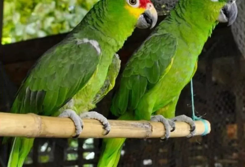 هتل West Bay Lodge