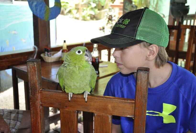 هتل West Bay Lodge