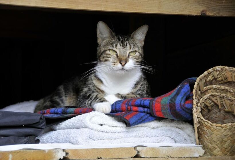 هتل West Bay Lodge