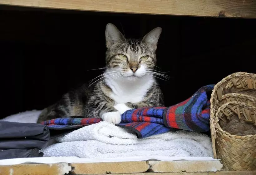 هتل West Bay Lodge