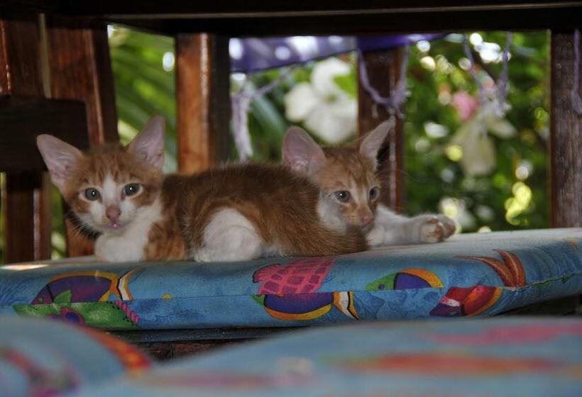 هتل West Bay Lodge