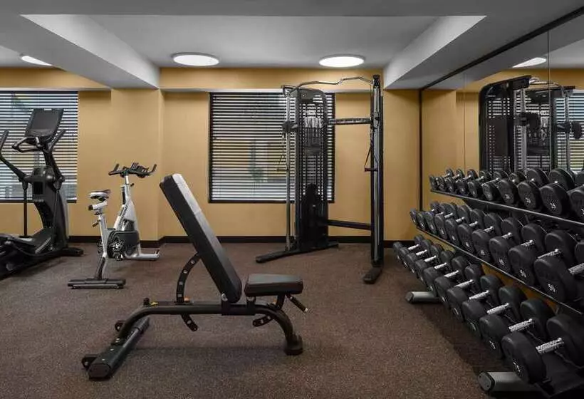 Rok Hotel Kingston, Tapestry Collection By Hilton