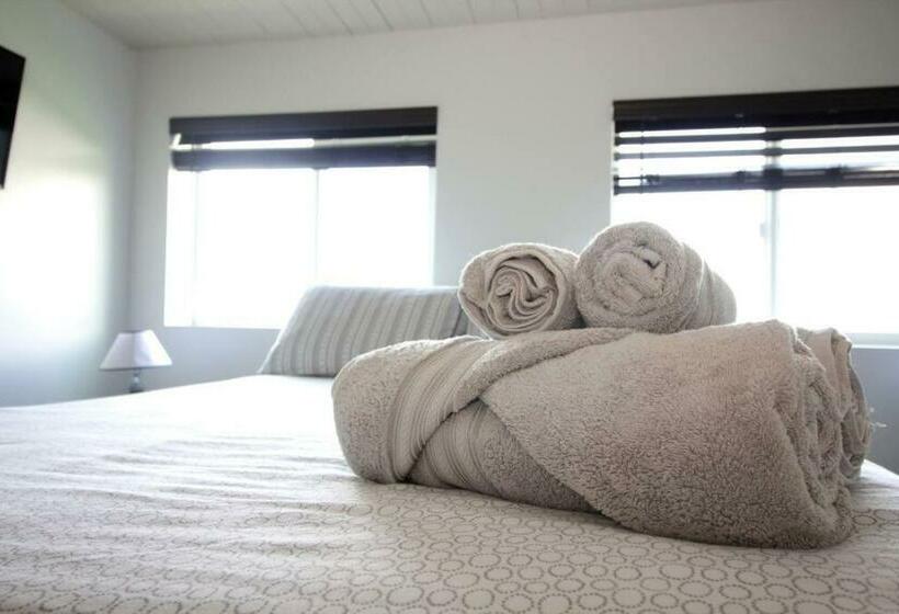 הוסטל Special Studio In Center Of San Diego