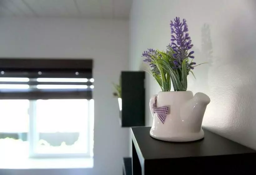 هاستل Special Studio In Center Of San Diego