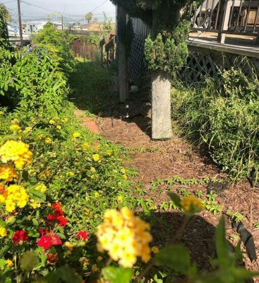 הוסטל Special Studio In Center Of San Diego