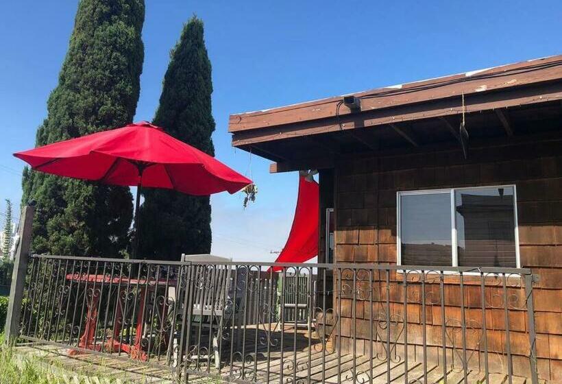 הוסטל Special Studio In Center Of San Diego