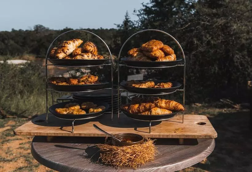 هتل Kruger Shalati   Train On The Bridge & Garden Suites