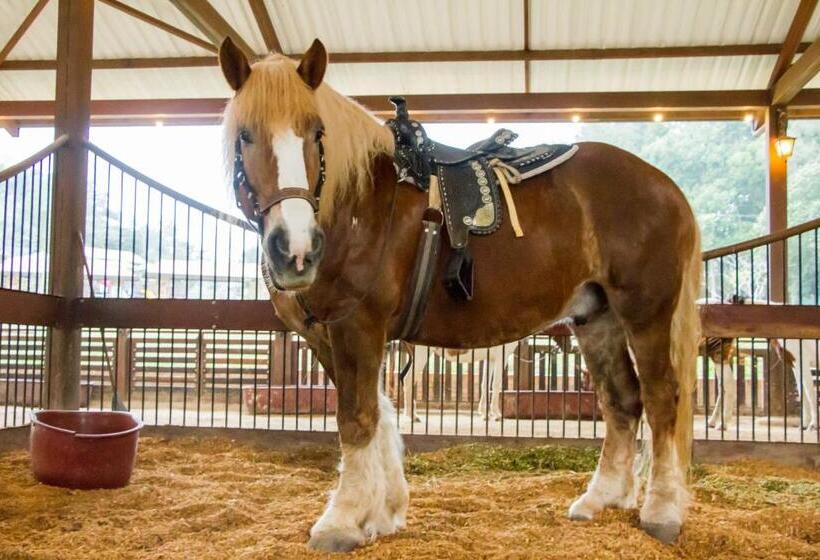 هتل Mesa De Los Santos