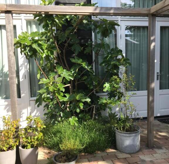 B&b Zee Van Tijd Domburg