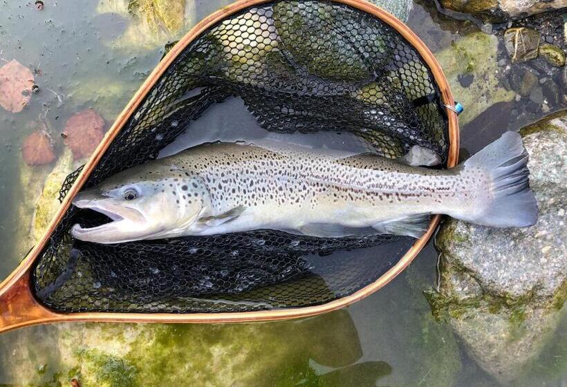 Отель Albergo San Carlo