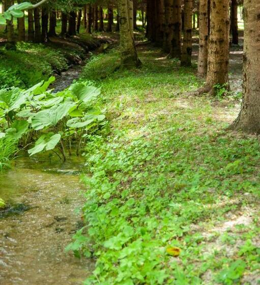 Отель Albergo San Carlo