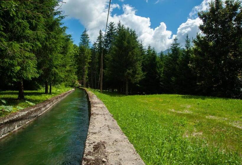 Отель Albergo San Carlo