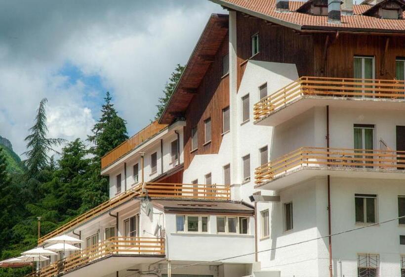 Отель Albergo San Carlo