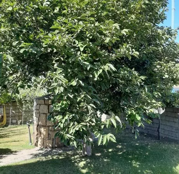 ペンション Padiz Room