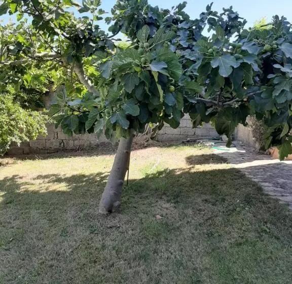 ペンション Padiz Room