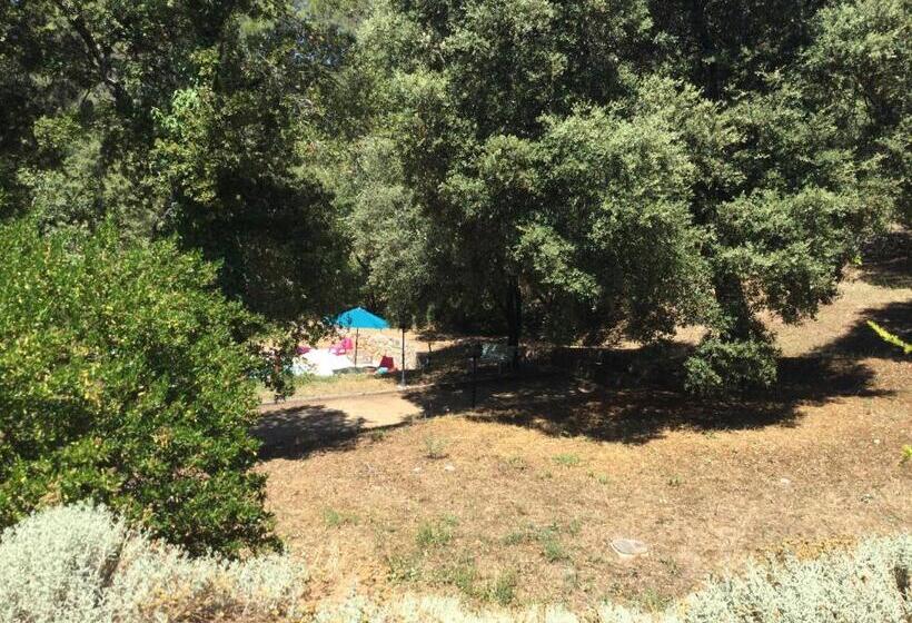 פנסיון Villa Bleucassis