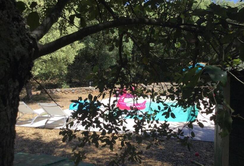 פנסיון Villa Bleucassis