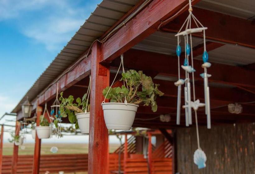 Pensão Cazare Nicoleta