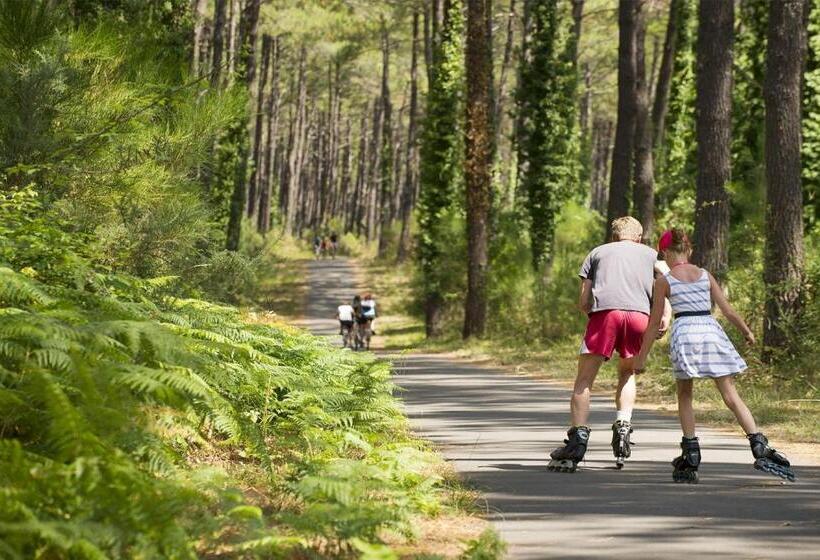 ベッドアンドブレックファースト Le Pakok
