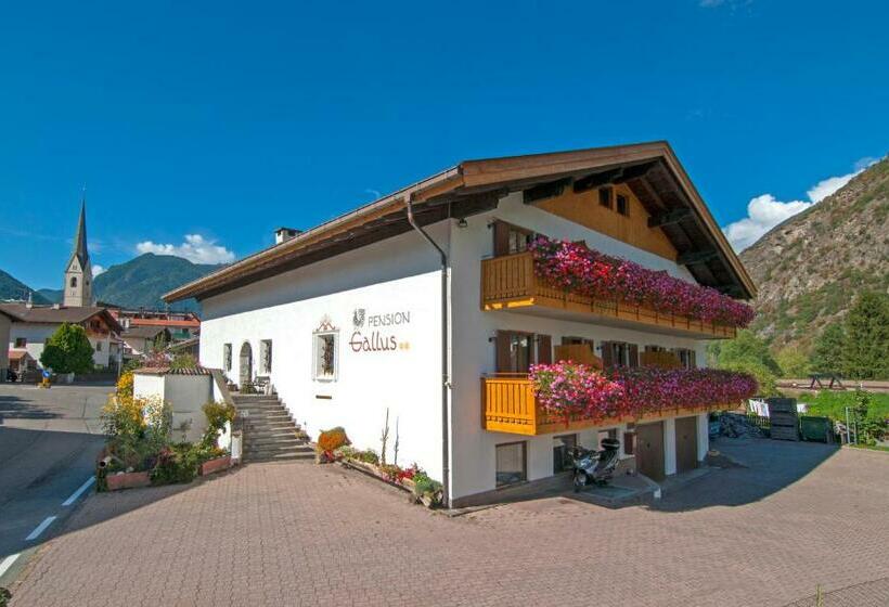 住宿加早餐 Pension Gallus