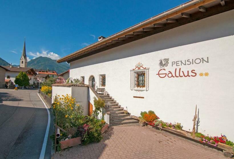 住宿加早餐 Pension Gallus