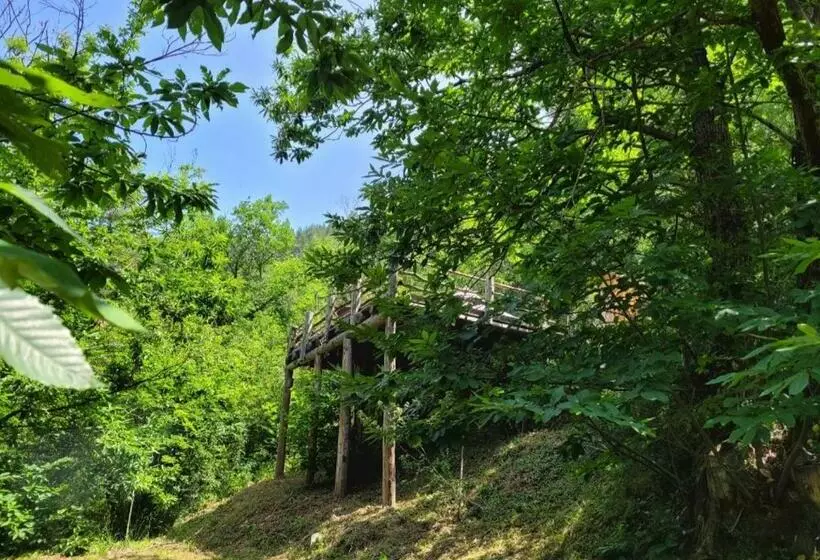 ペンション Loz Aire Naturelle