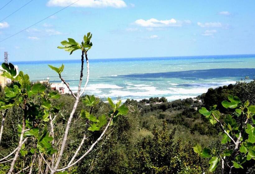 Residenza Piccolo Uliveto