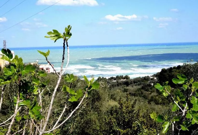 Residenza Piccolo Uliveto