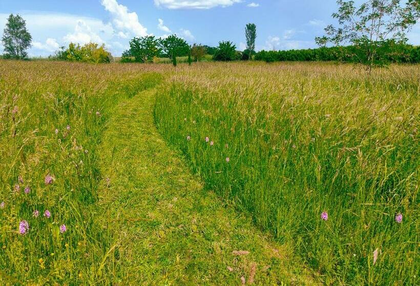 민박 L Envolée Sauvage