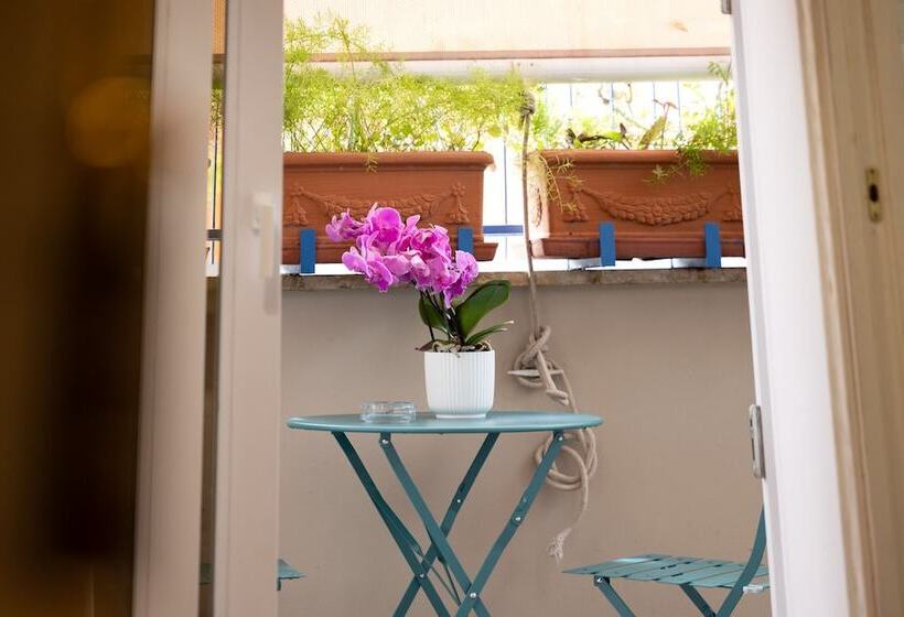 تختخواب و صبحانه Zaccardi Roof Garden