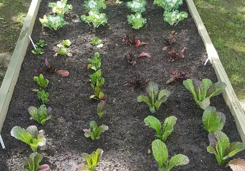 De Kloof Heritage Estate Hotel And Wellness