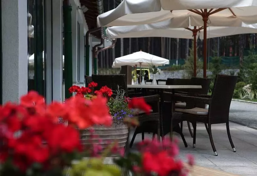 هتل Mona Plaza Zlatibor