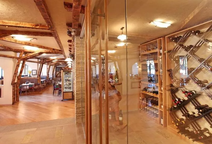 هتل Mona Plaza Zlatibor