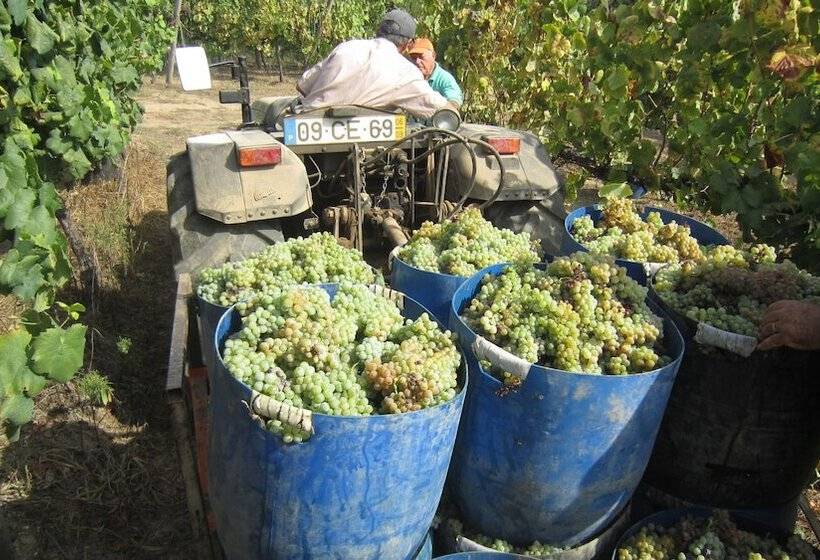 هتل Paco De Pombeiro Turismo De Habitacao