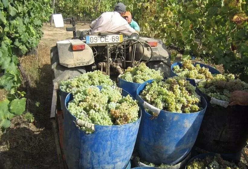 Отель Paco De Pombeiro   Turismo De Habitacao