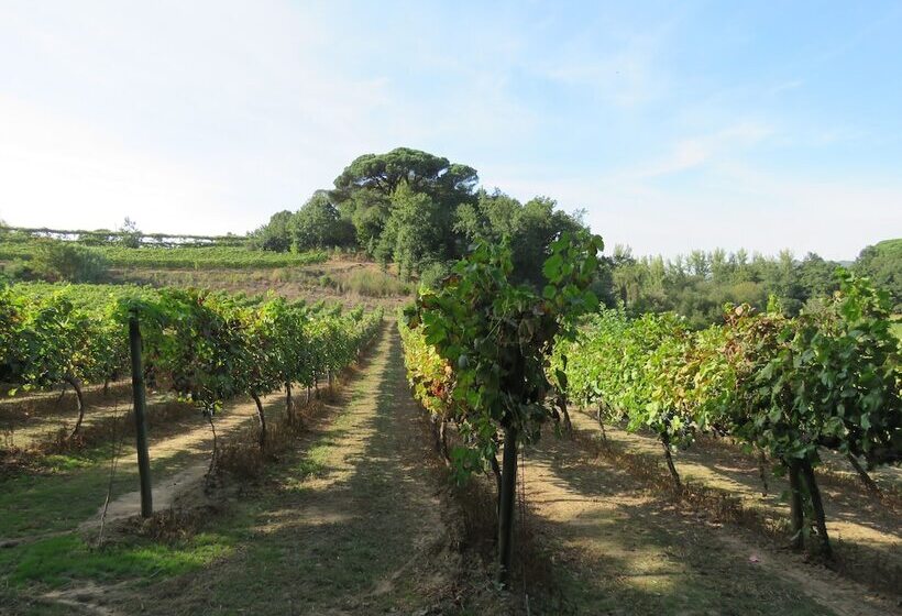 هتل Paco De Pombeiro Turismo De Habitacao