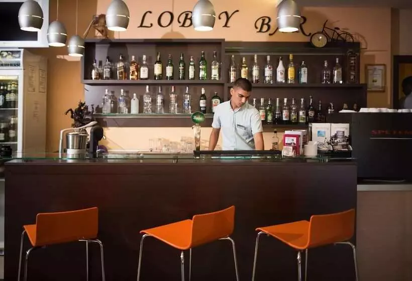 호텔 Plamena Palace