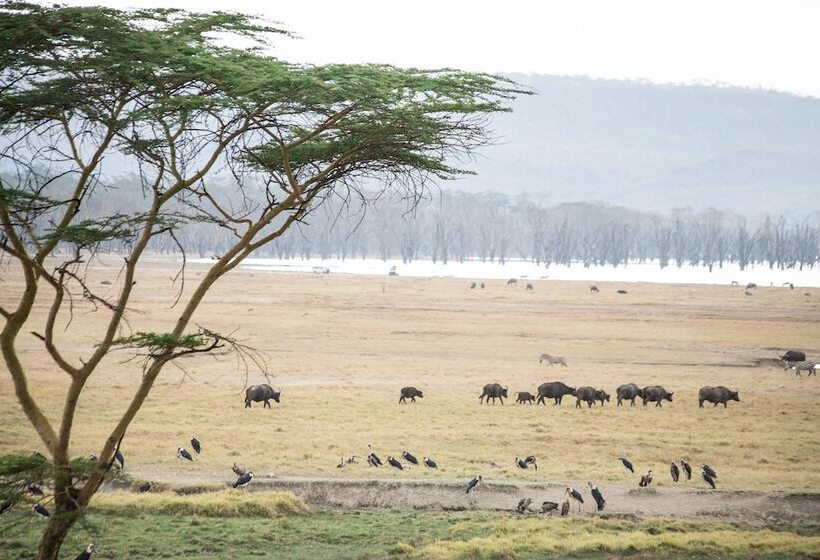 בית מלון כפרי Sarova Lion Hill Game Lodge