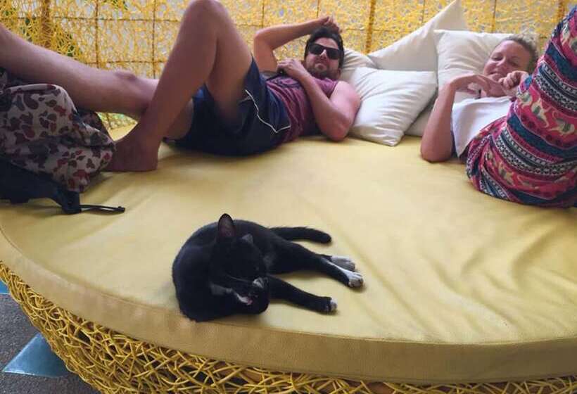 بنسيون Royal Night Bazaar