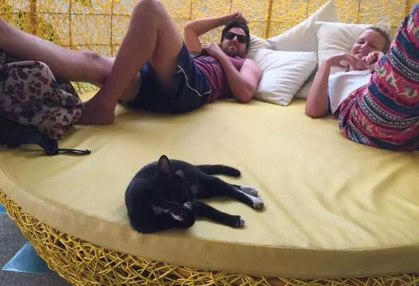 Pensione Royal Night Bazaar