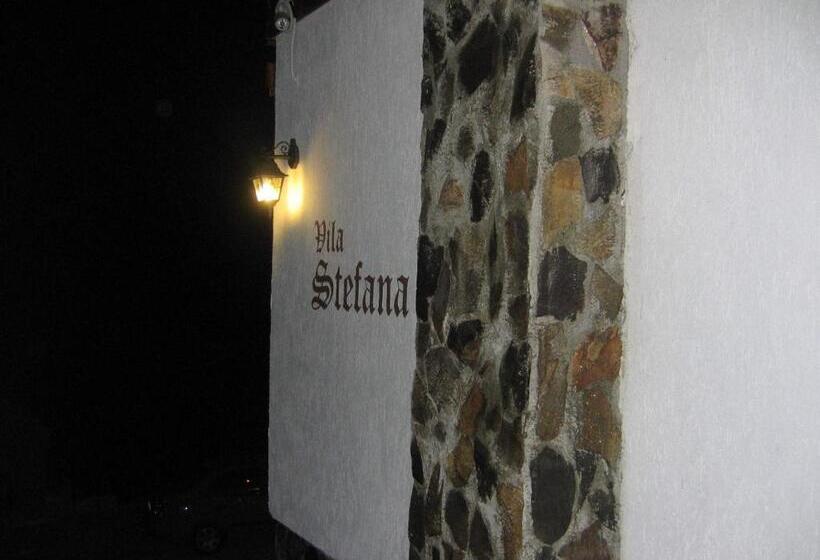 پانسیون Vila Stefana Paltinis