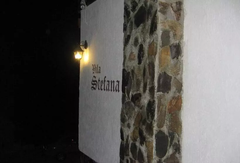 ペンション Vila Stefana Paltinis